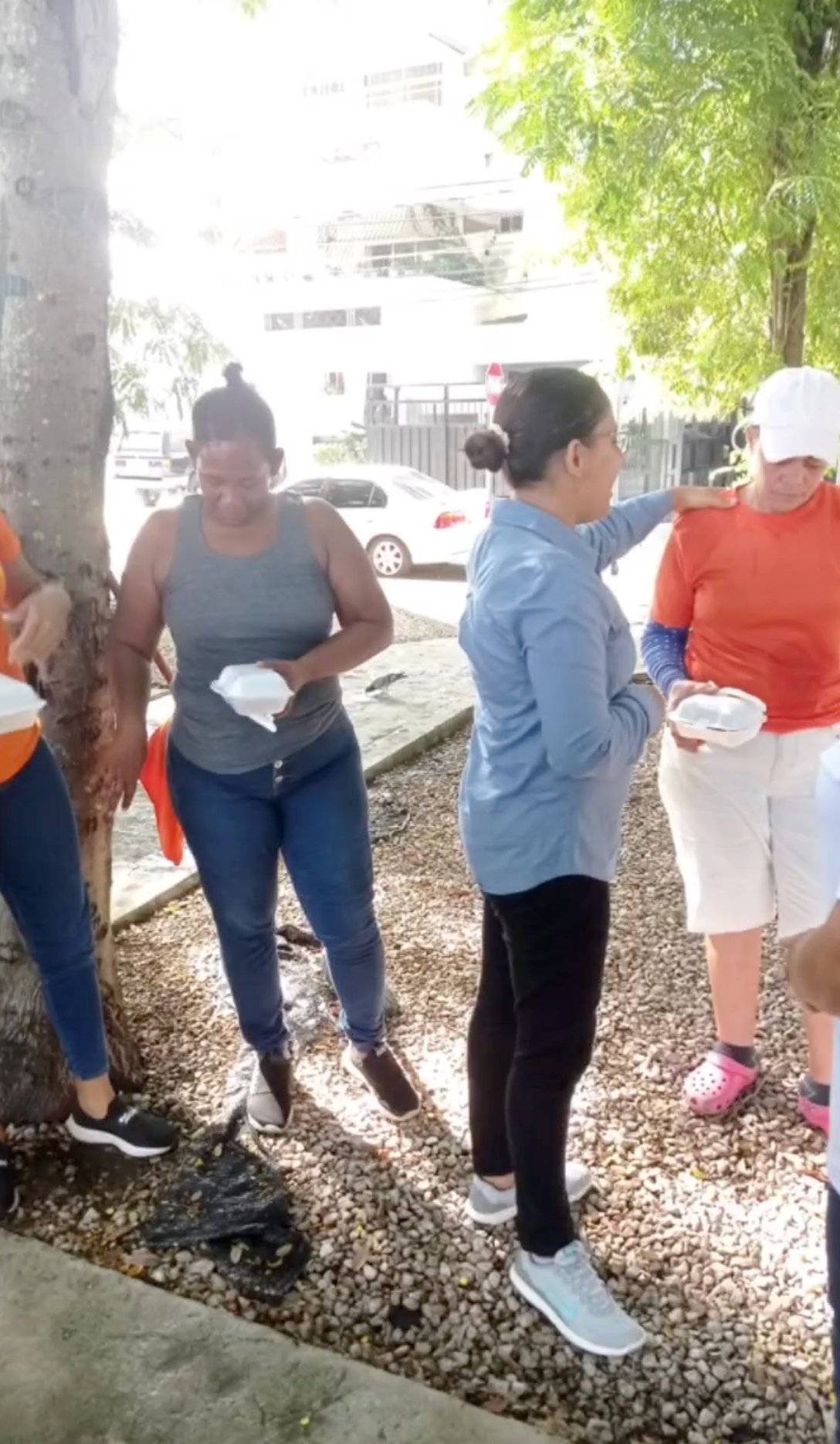 Distribución de comida